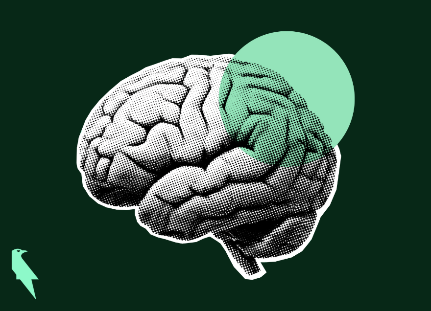 Psychology of Grocery