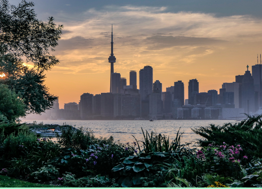 Toronto Grocery Technology