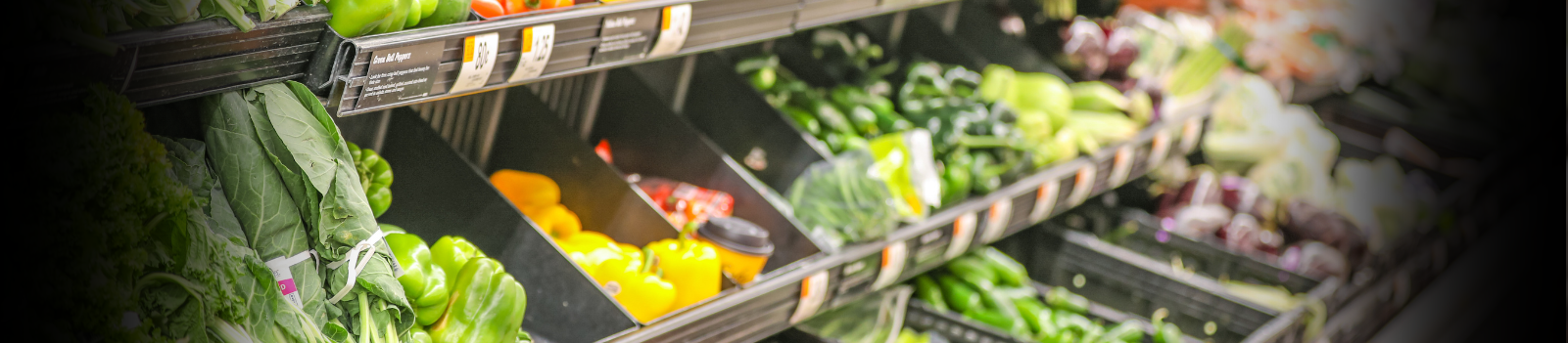 Technology Trade Shows