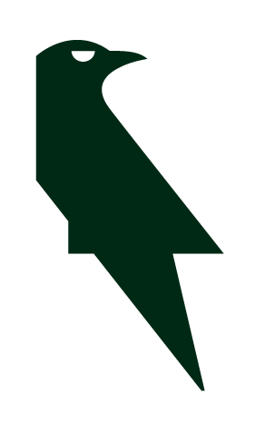 Who is Ravyx?