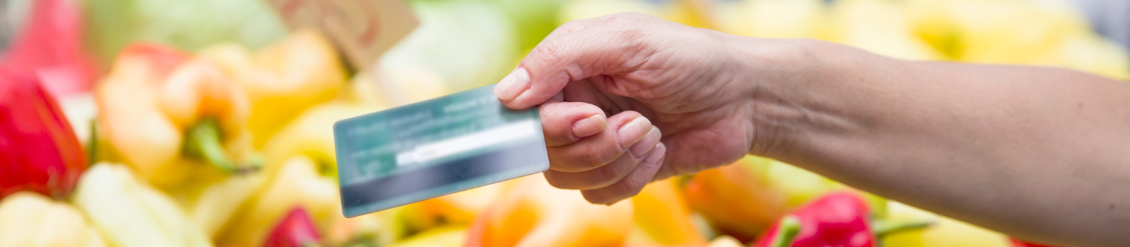 EBT Card to EMV Chip Technology